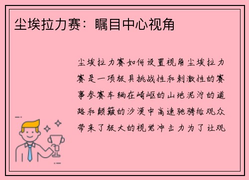 尘埃拉力赛:瞩目中心视角